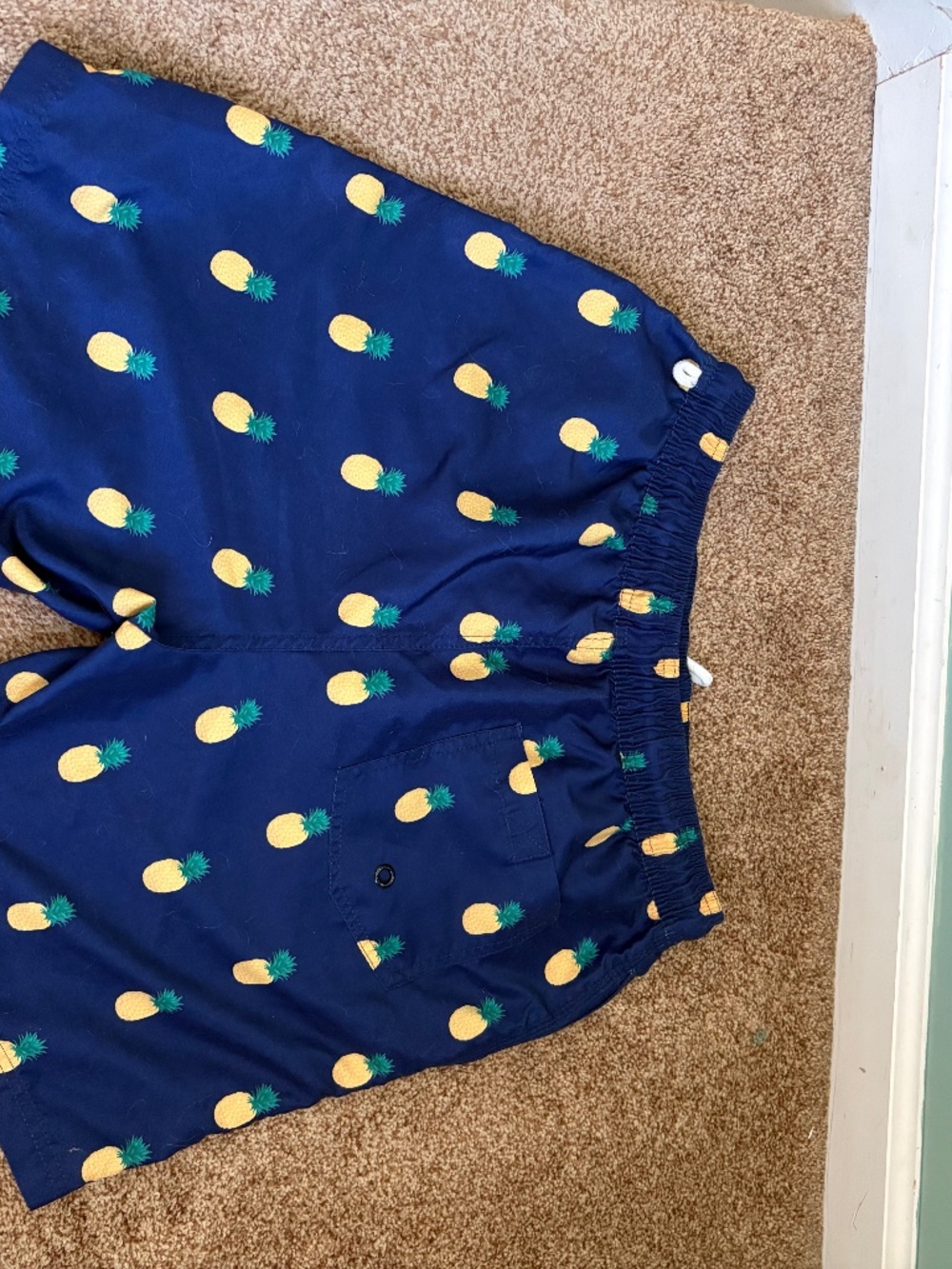 Men’s pinnacle bathing suit bottoms